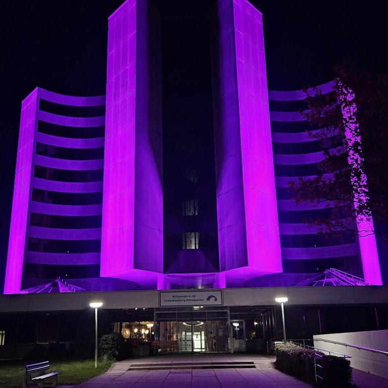 Pinktober in Heide - Kreishaus