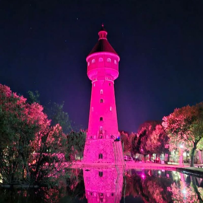 Heide pink beleuchtet Heide pink beleuchtet