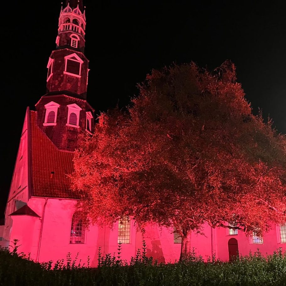 Heide pink beleuchtet Heide pink beleuchtet